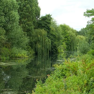 足球下赌注app-登录入口