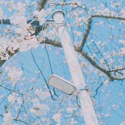 三张牌下载金花免费